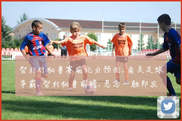 智利对秘鲁赛前比分预测,南美足球争霸,智利秘鲁前瞻,悬念一触即发