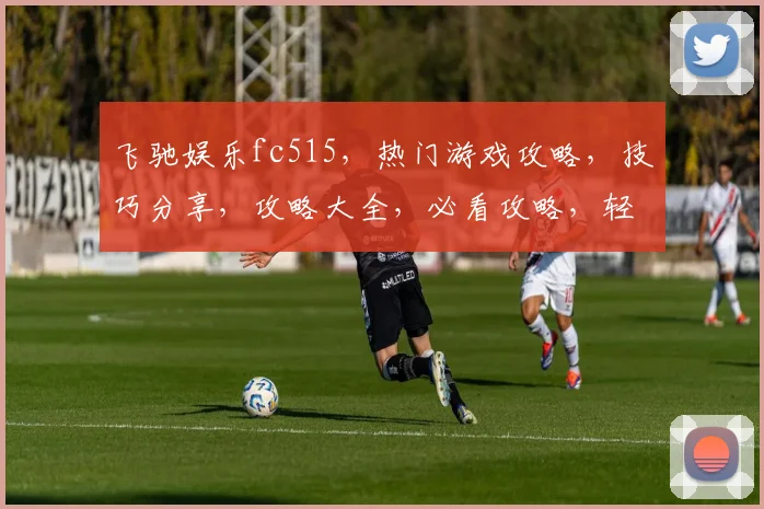 飞驰娱乐fc515，热门游戏攻略，技巧分享，攻略大全，必看攻略，轻松上手