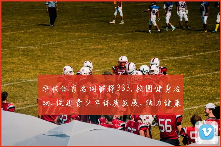 学校体育名词解释333,校园健身活动,促进青少年体质发展,助力健康成长,快乐每一天。