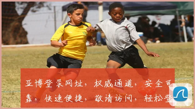亚博登录网址，权威通道，安全可靠，快速便捷，敬请访问，轻松登录，体验非凡