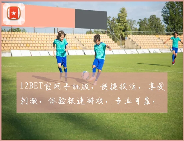 12BET官网手机版，便捷投注，享受刺激，体验极速游戏，专业可靠，两重保障
