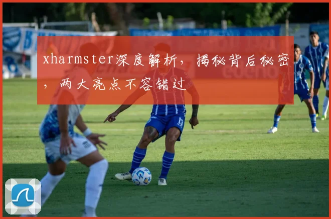 xharmster深度解析，揭秘背后秘密，两大亮点不容错过