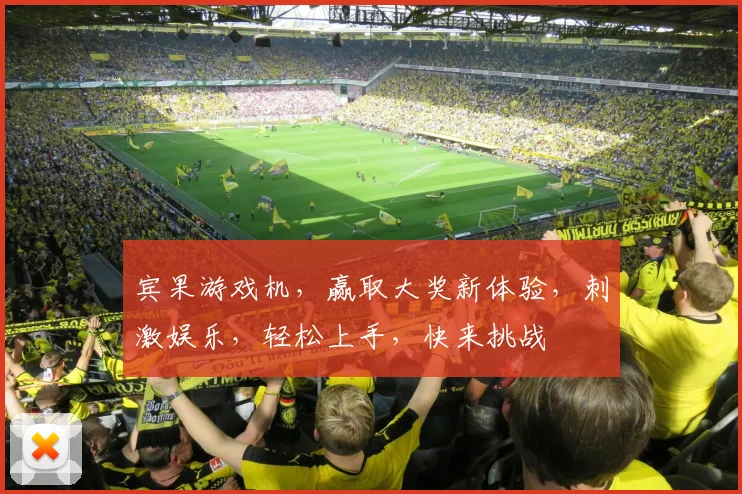 宾果游戏机，赢取大奖新体验，刺激娱乐，轻松上手，快来挑战